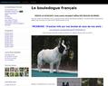 116703 : bouledogues francais de Carry