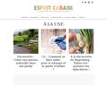136670 : Esprit cabane, le magazine web de l'écologie pratique et créative