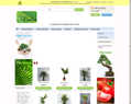 165246 : Jardinerie en ligne : plante intérieure, plante extérieure | Eplants