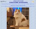 170454 : le chat norvegien de la Chatterie Durandal