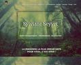 172814 : Sylviane SEYVET sophrologue-relaxologue Joué les Tours (37) et alentours