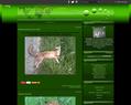 177177 : Le blog de chasse02