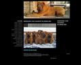 182414 : sharpei-blingbling