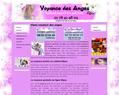 187739 : VOYANCE DES ANGES: VOYANCE SERIEUSE SANS ATTENTE PAR TELEPHONE. VOYANCE AU FORFAIT. MEDIUMS PURS PAR TELEPHONE.