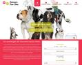 204434 : Comparateur de mutuelle pour animaux en ligne | information sur les chiens