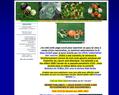 209978 : Jardin potager bio - Fruits et légumes sains et naturels