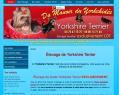 214003 : Du manoir du Yorkchidée, ou la passion du Yorshire-Terrier