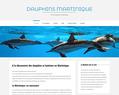 225224 : Les dauphins de Martinique