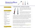 231306 : Aspirateur Balai – Guide d’achat et comparatif