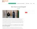 234047 : Punching Ball – Guide d'achat, comparatifs et avis