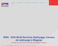 245302 : MULTI-SERVICES NETTOYAGE : votre entreprise de nettoyage à Toulouse et Blagnac
