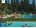 245404 : Camping avec piscine chauffée dans le Var proche des plages