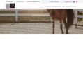 246162 : Custom'Horse : magasin équitation, cheval à Bourges (18)