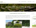 246258 : Mytaillehaie
