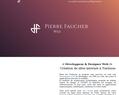 255248 : Pierre Faucher - Développeur et Designer Web à Toulouse