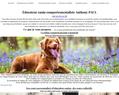 258325 : Educateur canin comportementaliste Anthony PAUL