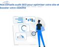 263135 : Conseils Audit SEO