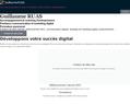 264083 : Guillaume RUAS, Freelance expert web et seo