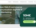 264473 : Agence web E-commerce : Acquisition Trafic & Dev Web