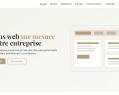 264517 : Développement de sites web sur mesure et optimisation SEO pour professionnels locaux
