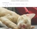 264625 : Le Sommeil du Chat