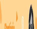 265438 : Fusions et Acquisitions : Guide Stratégique pour la Croissance Externe