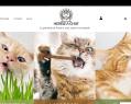 265696 : Herbe à chat, cataire et matatabi pour le chat