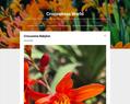 266328 : Crocosmias World 