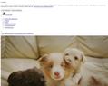 266673 : Pedibase — annuaire des éleveurs de chiens et chats