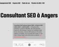 266719 : Benjamin Monnereau - Consultant SEO à Angers
