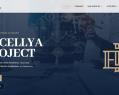 266845 : EXCELLYA PROJECT : cabinet de conseil dédié à l'industrie et à l'excellence opérationnelle