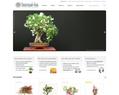 53744 :  bonsai-ka - vente en ligne de bonsai et accessoires, décoration orientale et objets d´Asie