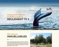 64274 : Communauté / Communauty Essipit - Croisire aux baleines / Whale watching cruises - Pourvoiries / Outfitters - Camping