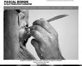 65981 : artiste plasticien Pascal BORGHI