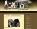 70984 : Les lamas de la Bouble : Elevage de Lamas en Auvergne