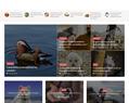 81339 : Web Actions Animaux