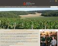81689 : Sylvain Bouhelier vigneron, producteur de Crémant de Bourgogne