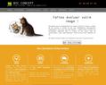85977 : BSC Concept agence web d´hébergement et création de sites internet, site web sur mesure en Bretagne