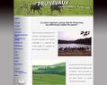 88853 : Equitation Cheval Chevaux Poneys Club Elevage de Prunevaux Haflo-arabes Dartmoors Shetlands Nievre Bourgogne France