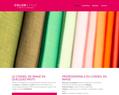 93516 : Colorstyle : Relooking et conseil en image