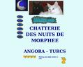 98892 : Chatterie des Nuits de Morphee Angora Turcs